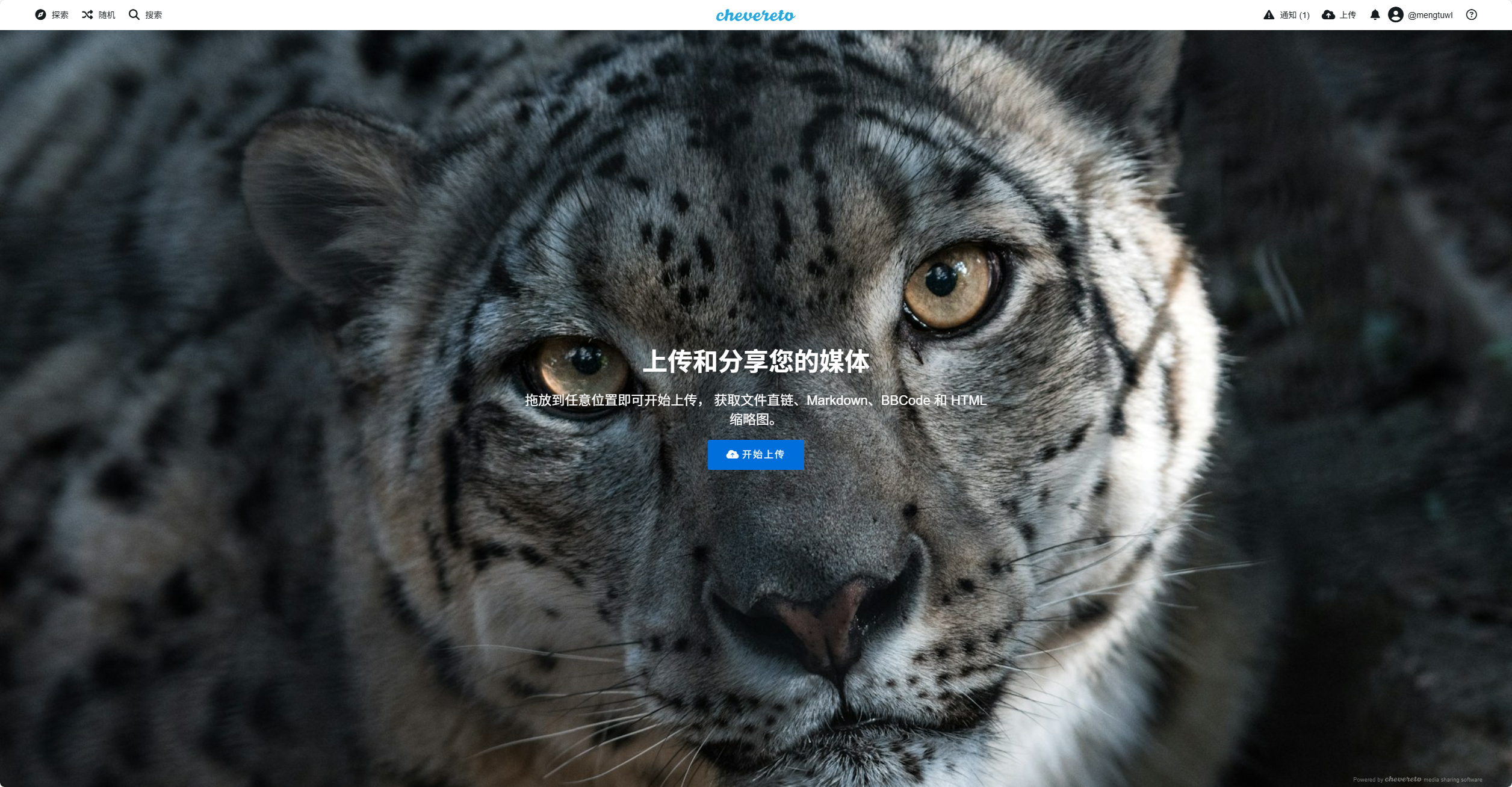 Chevereto_Pro V4.4.0 宝塔面板 PHP部署方案-鼎点&Blog