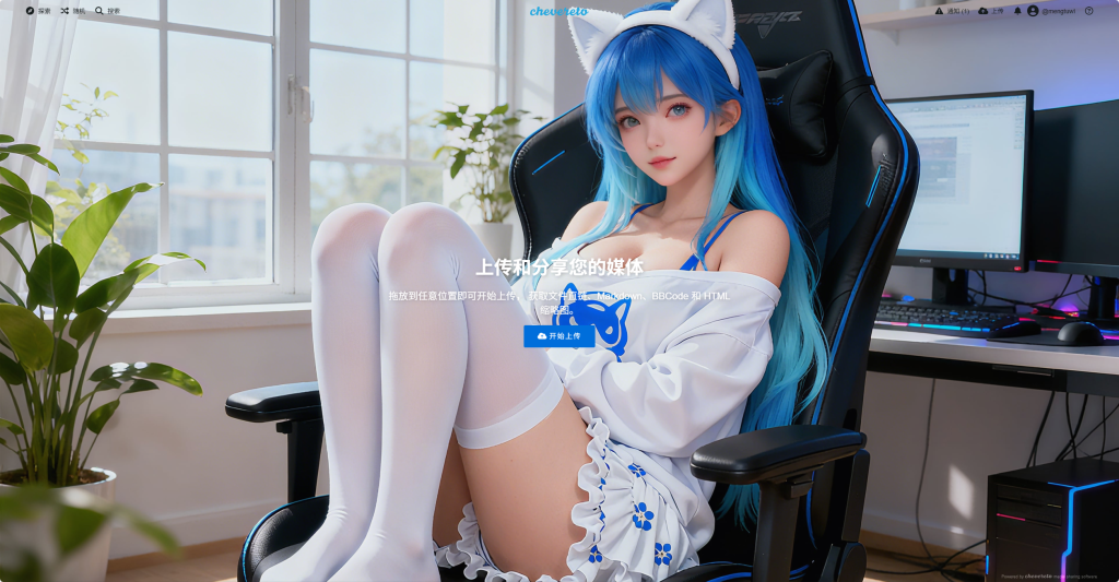 图片[5]-Chevereto简单美化教程-鼎点&Blog